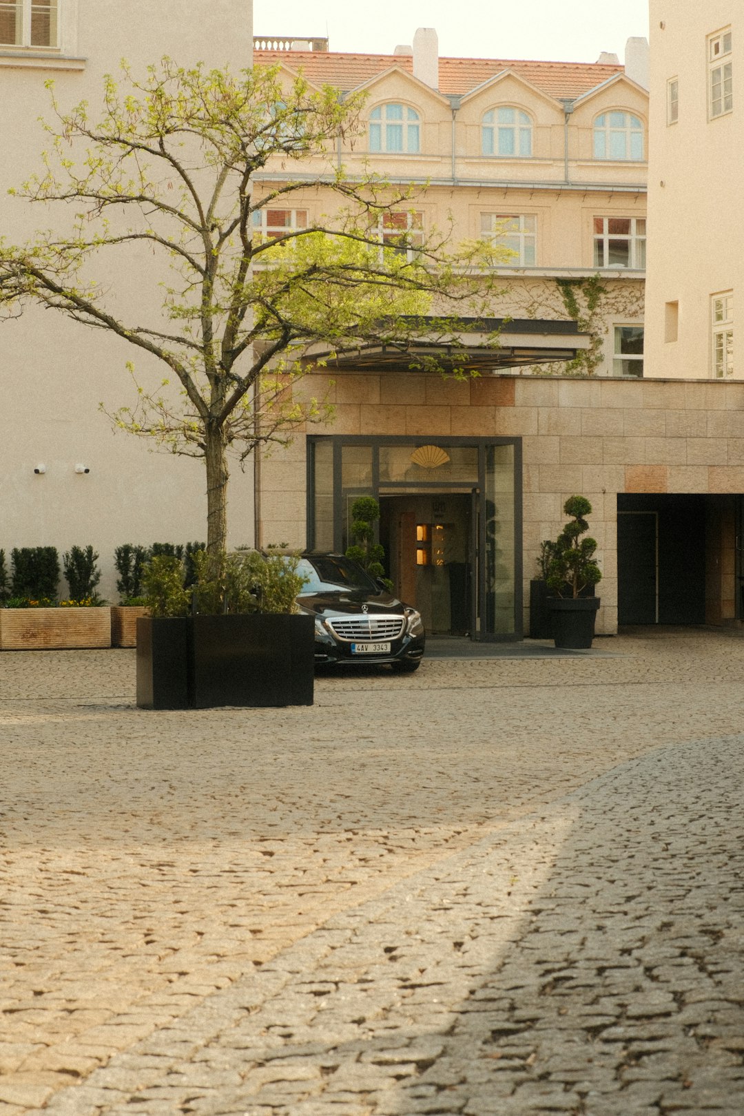 Valet Parking
